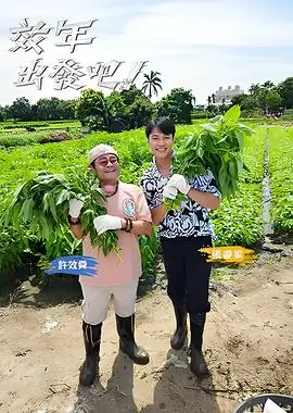 岛屿食堂慢综艺在线观看